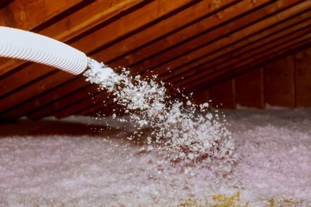 Best Attic Insulation Near Me  in USA